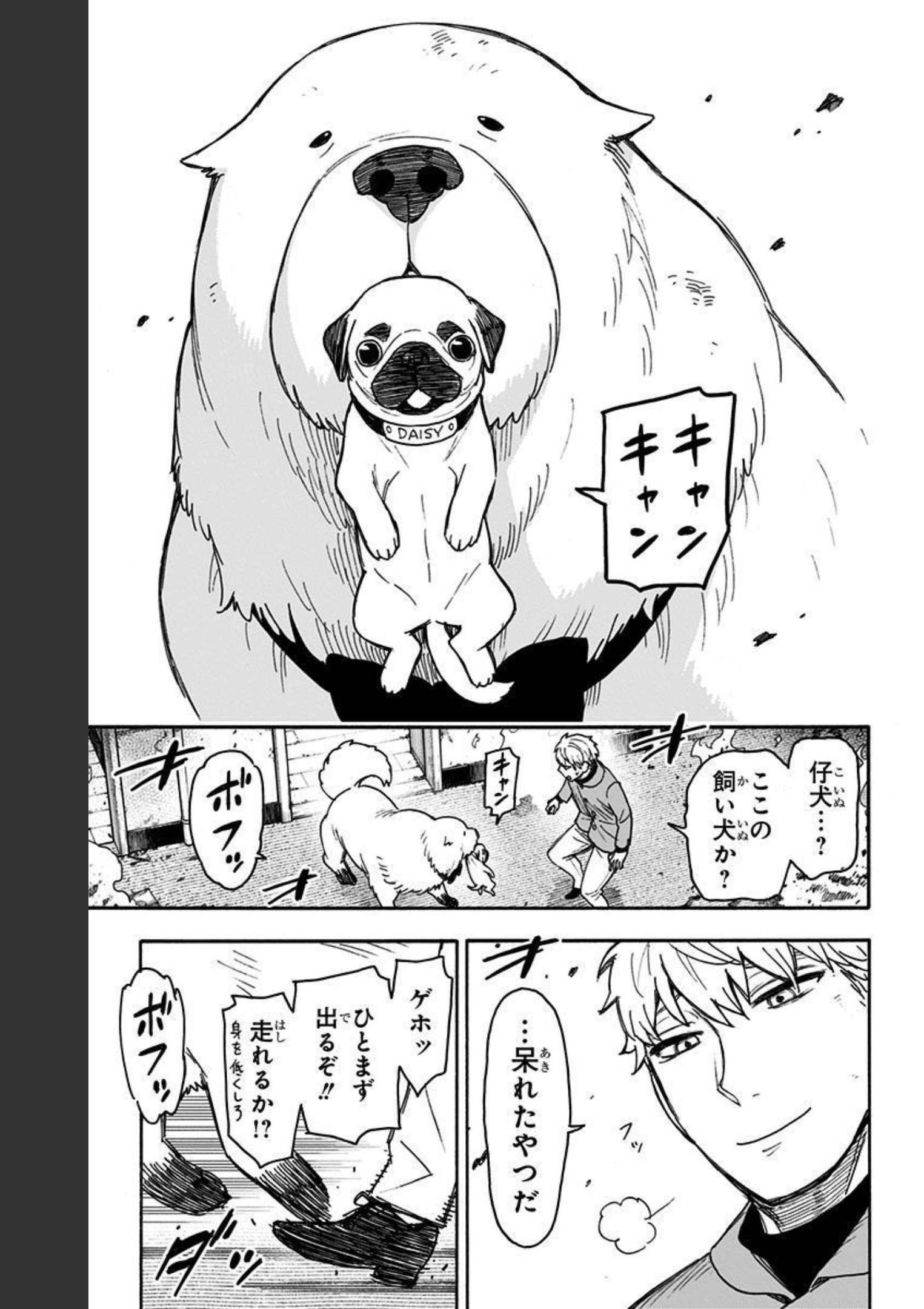 P17