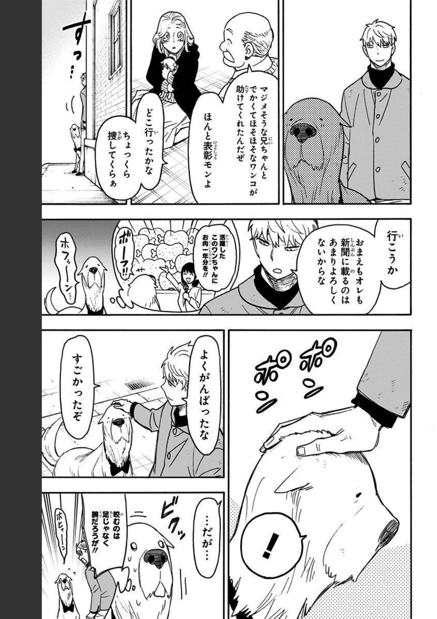 P31