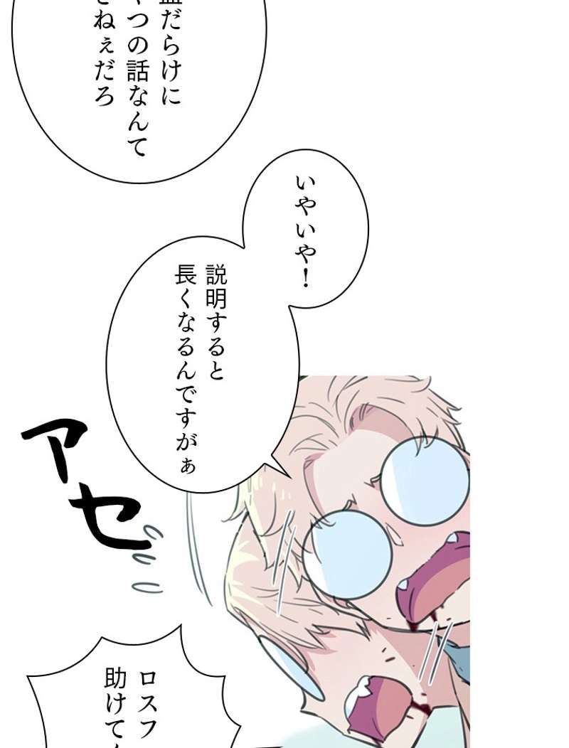 P41
