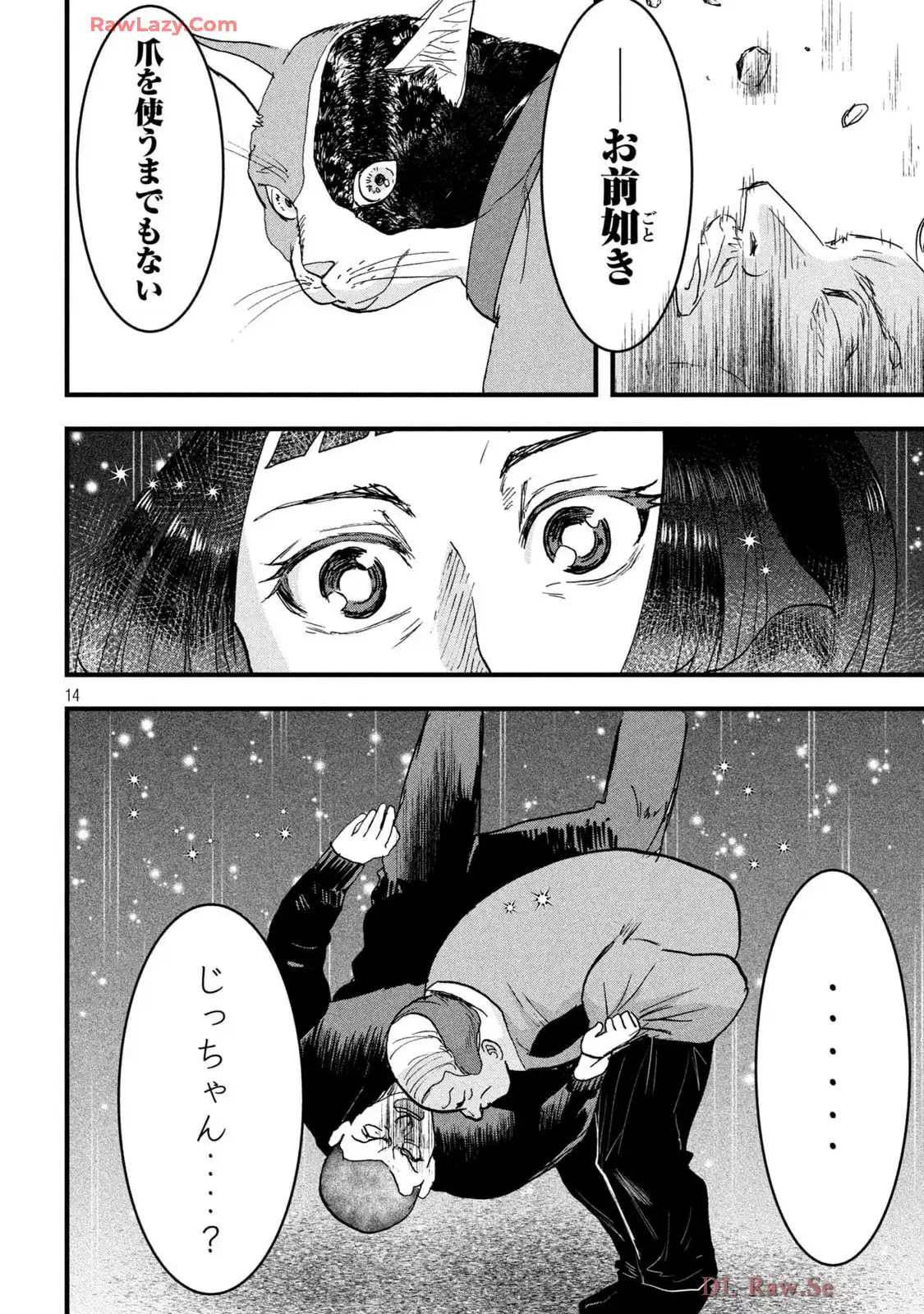 P14