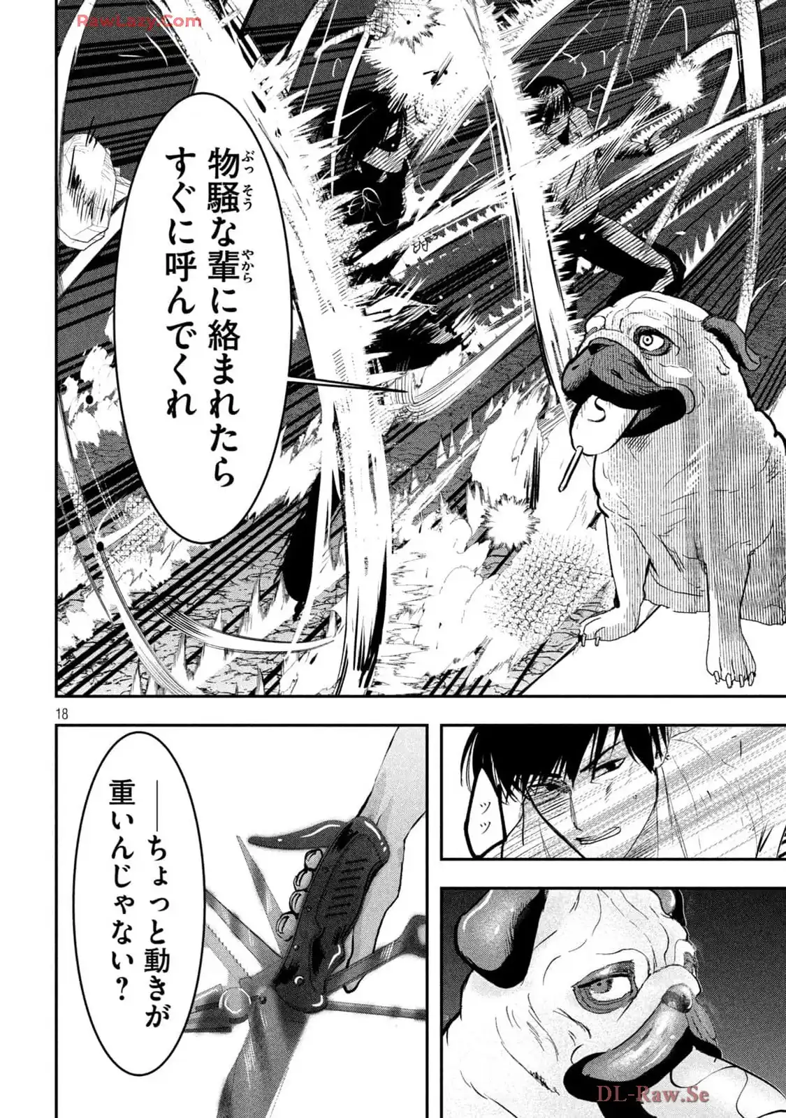 P17