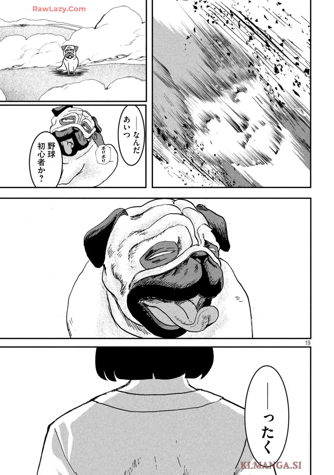 P19