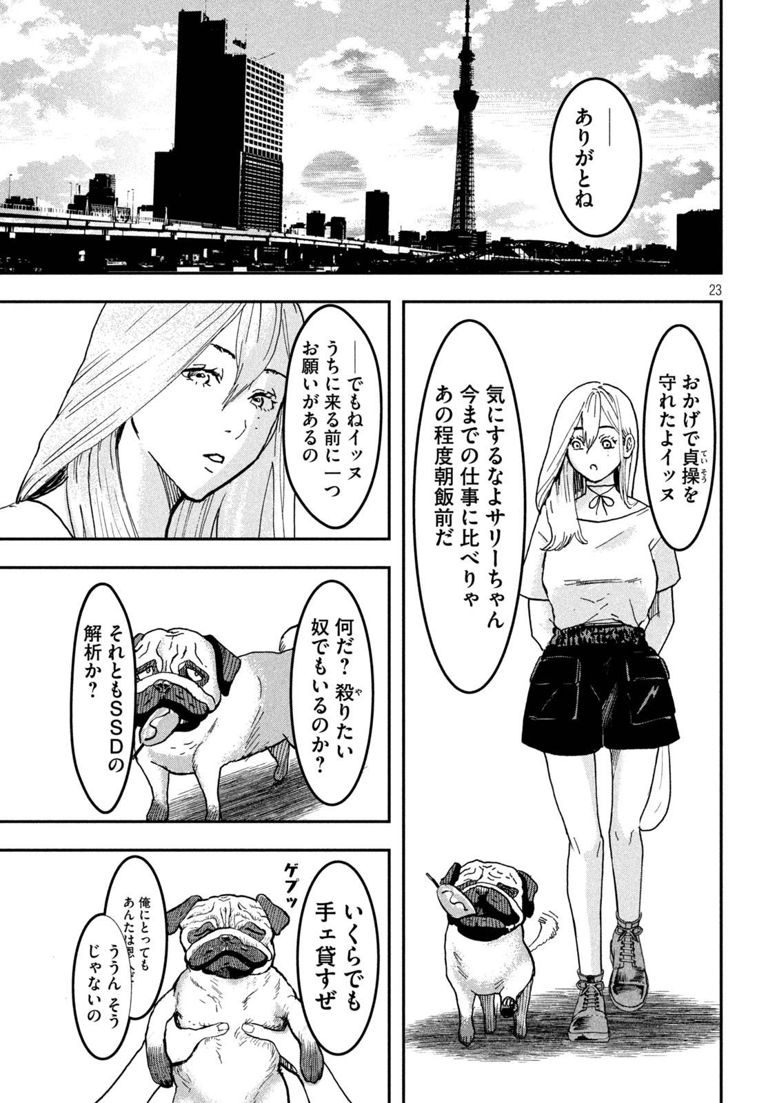 P23