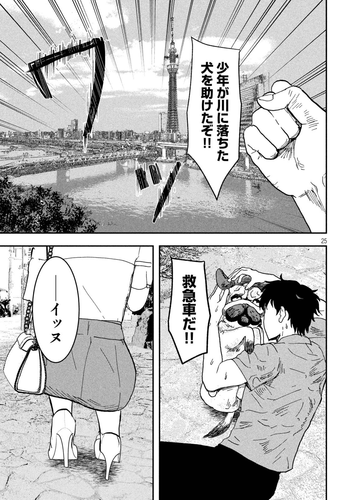 P25