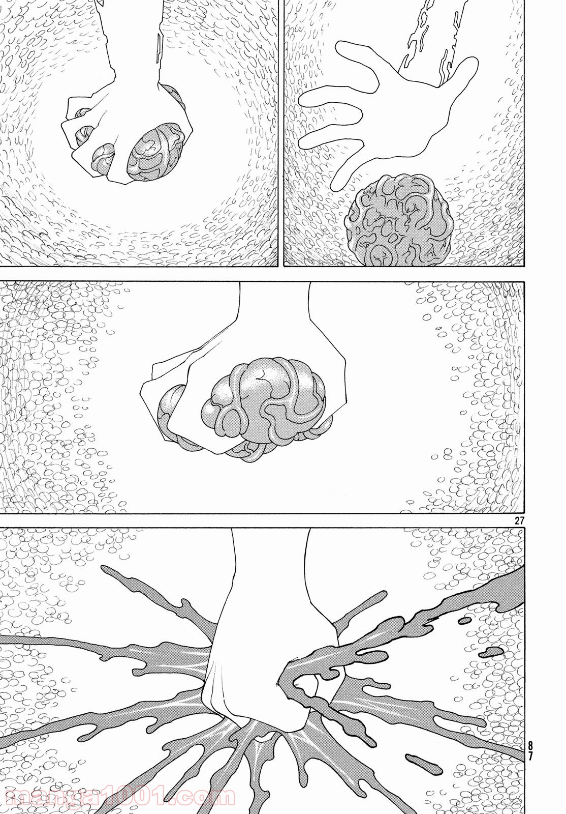 P27