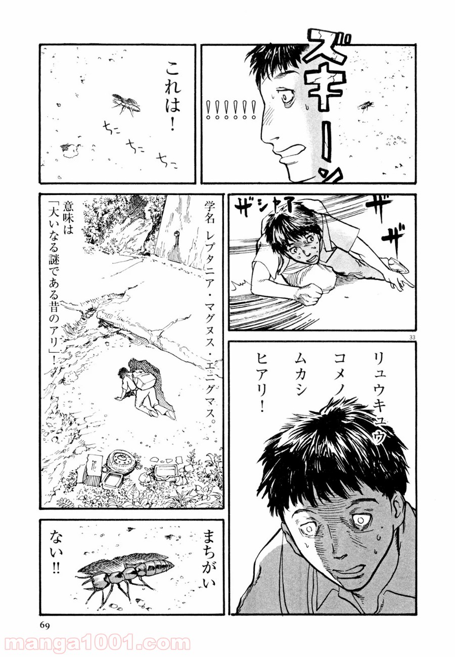 P33