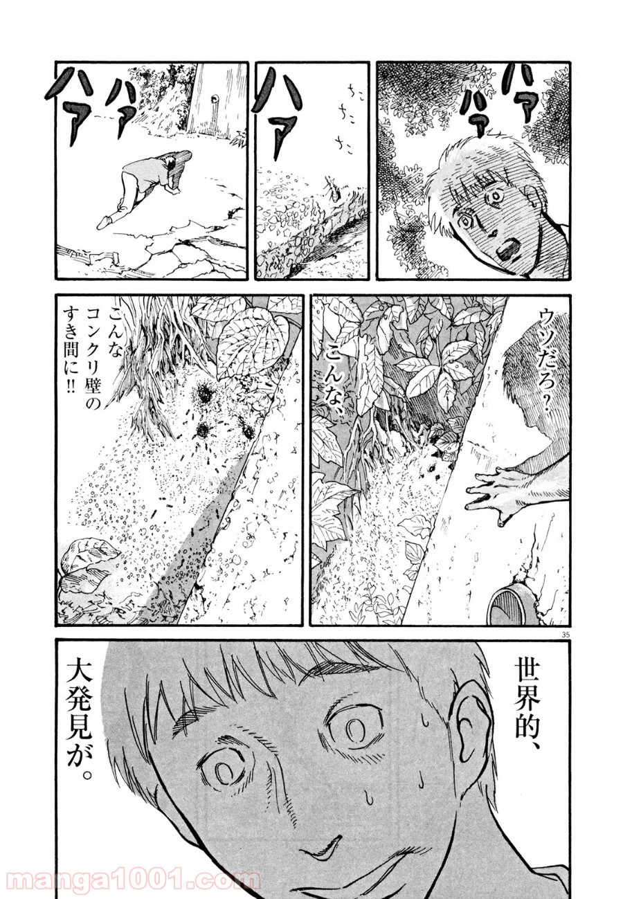 P35