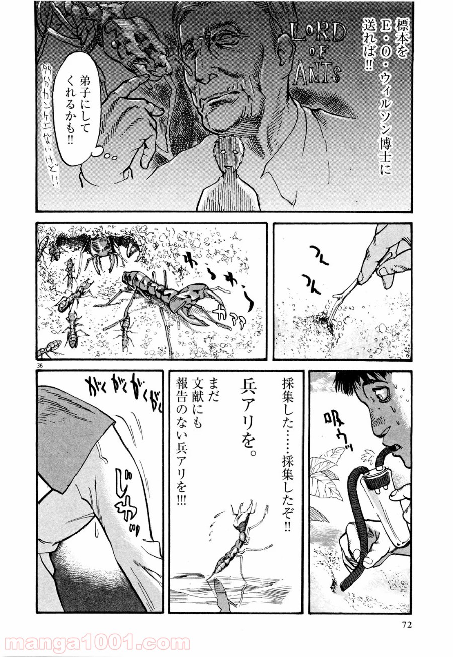 P36