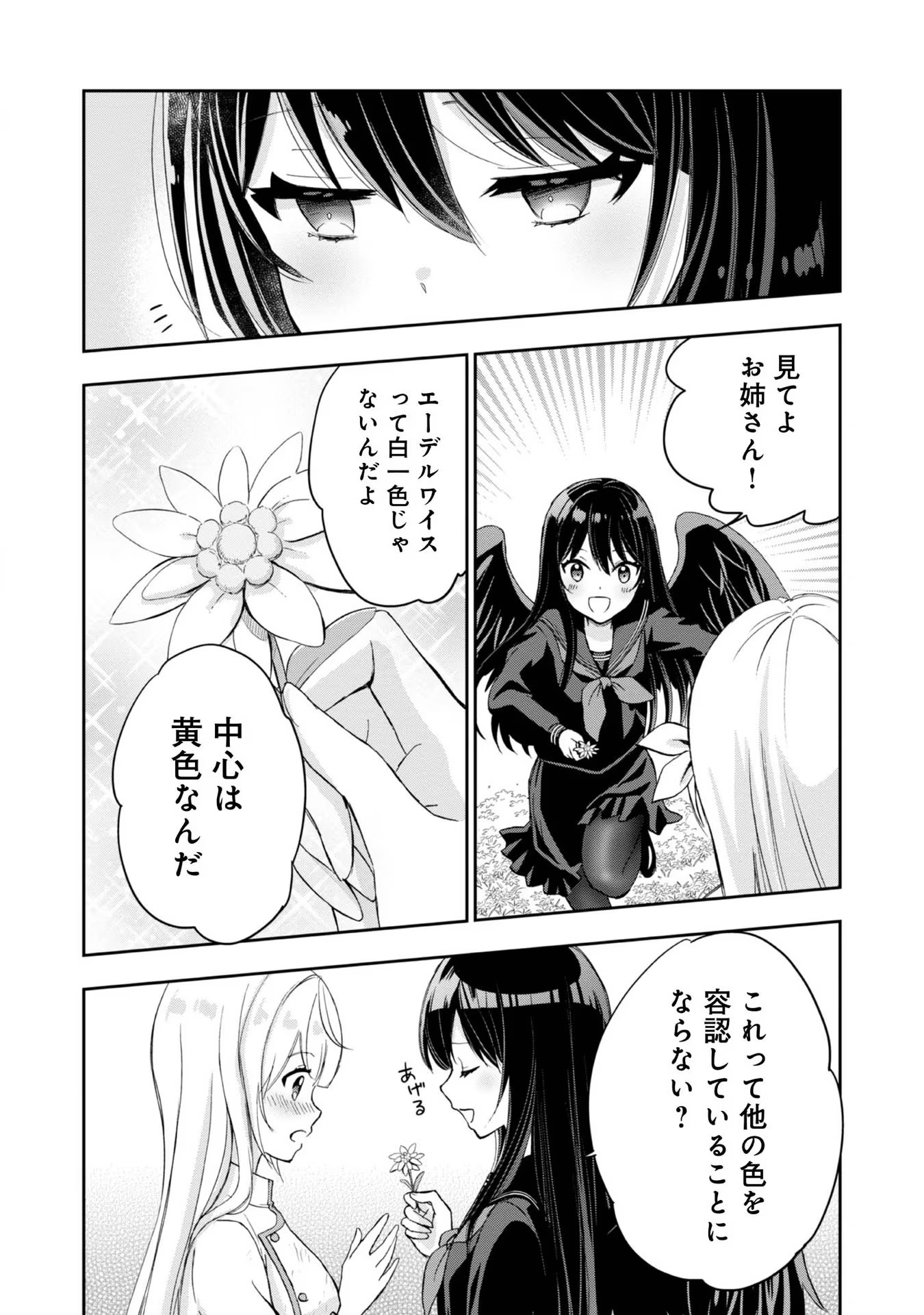 P24