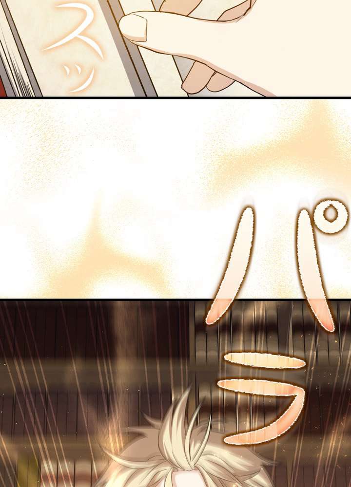 P113