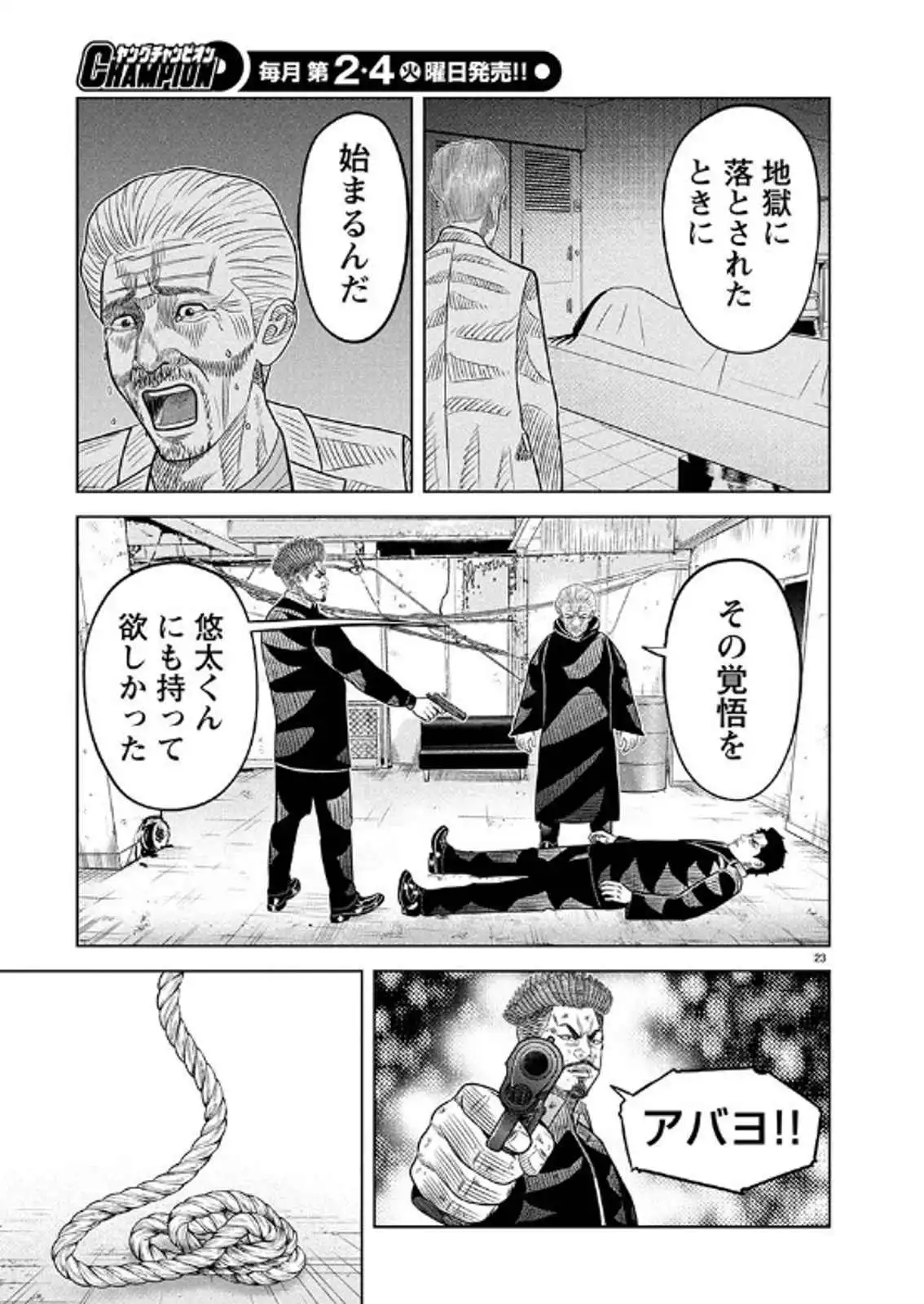 P23