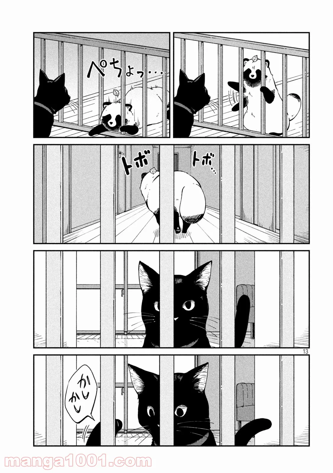 P13