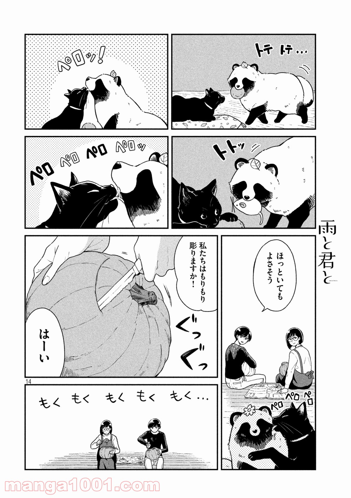 P14