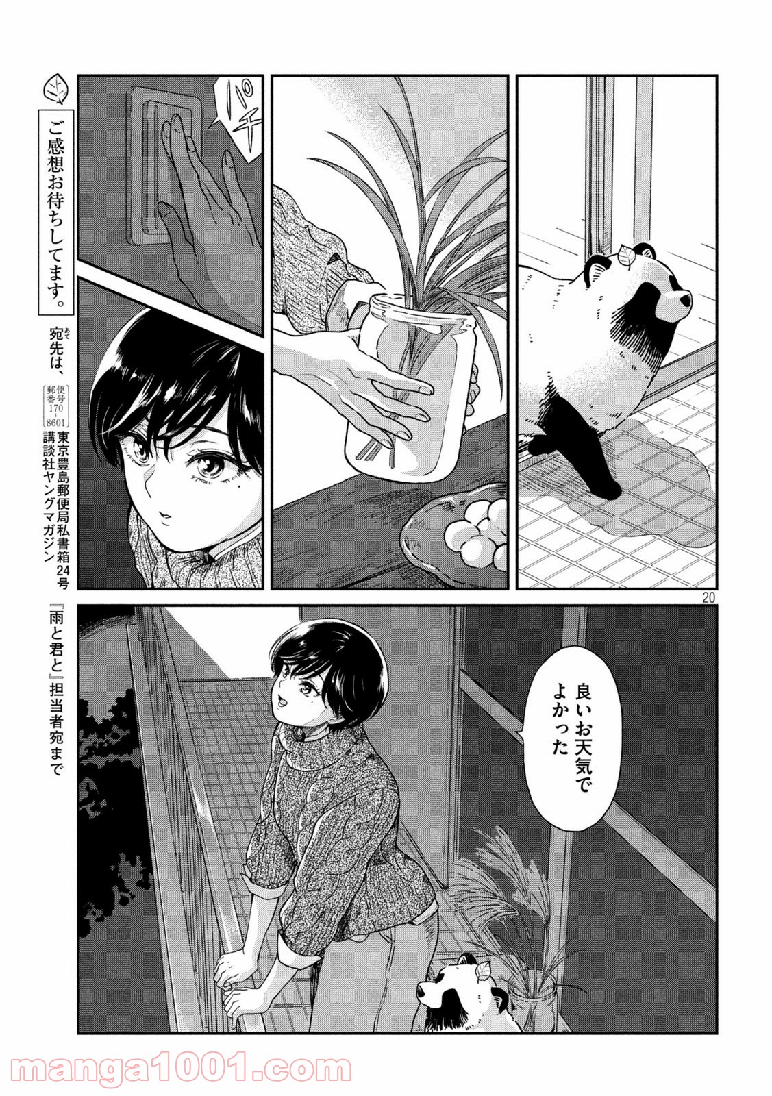 P20