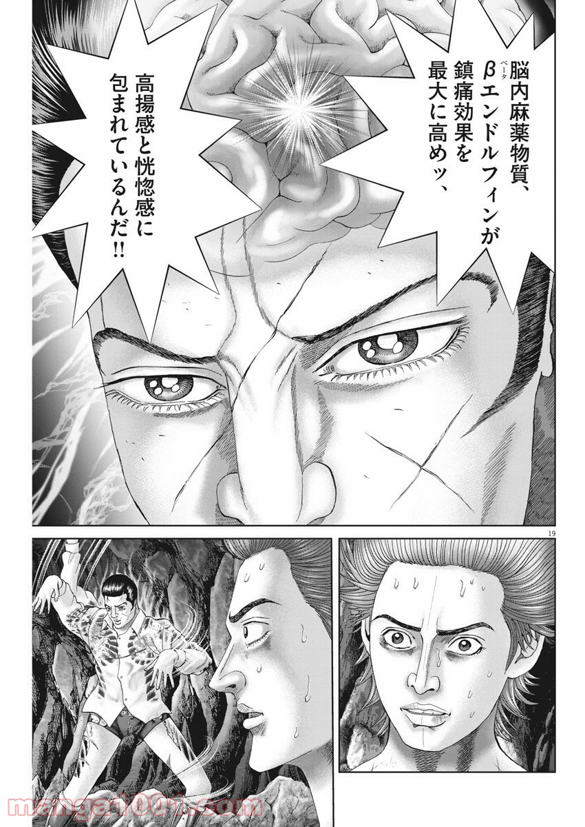 P19