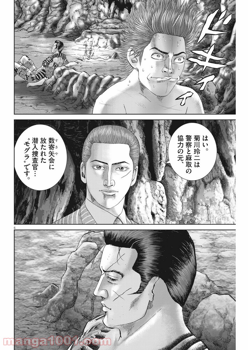 P6