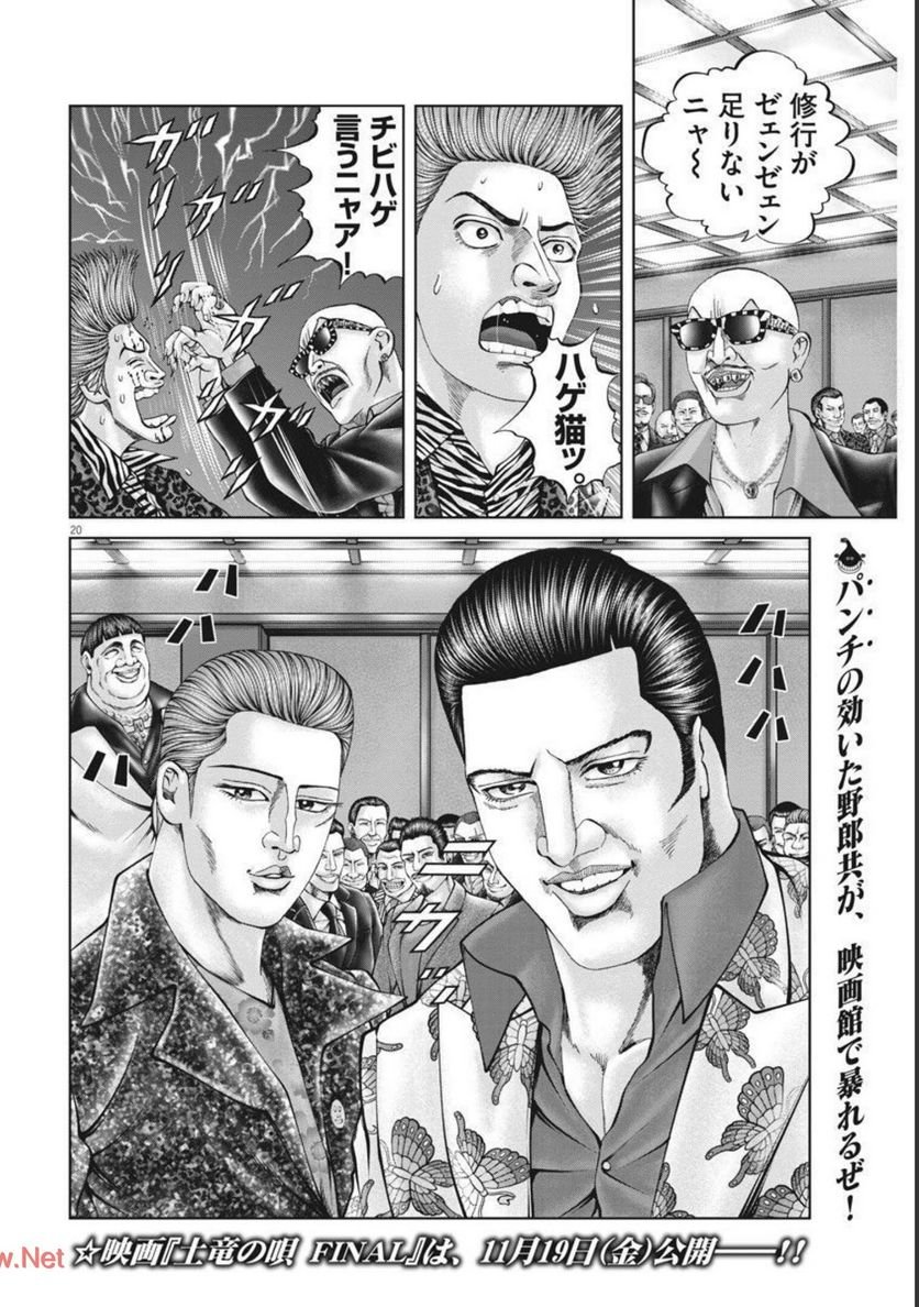 P20