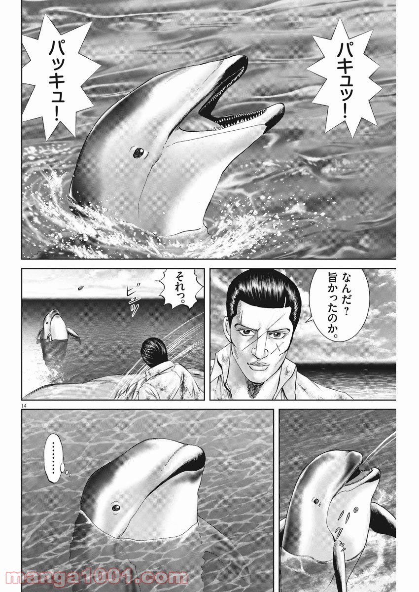 P14