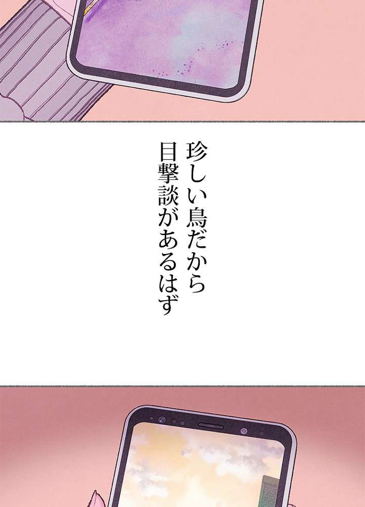 P65