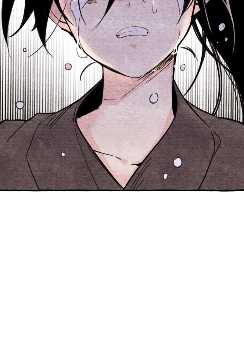 P48
