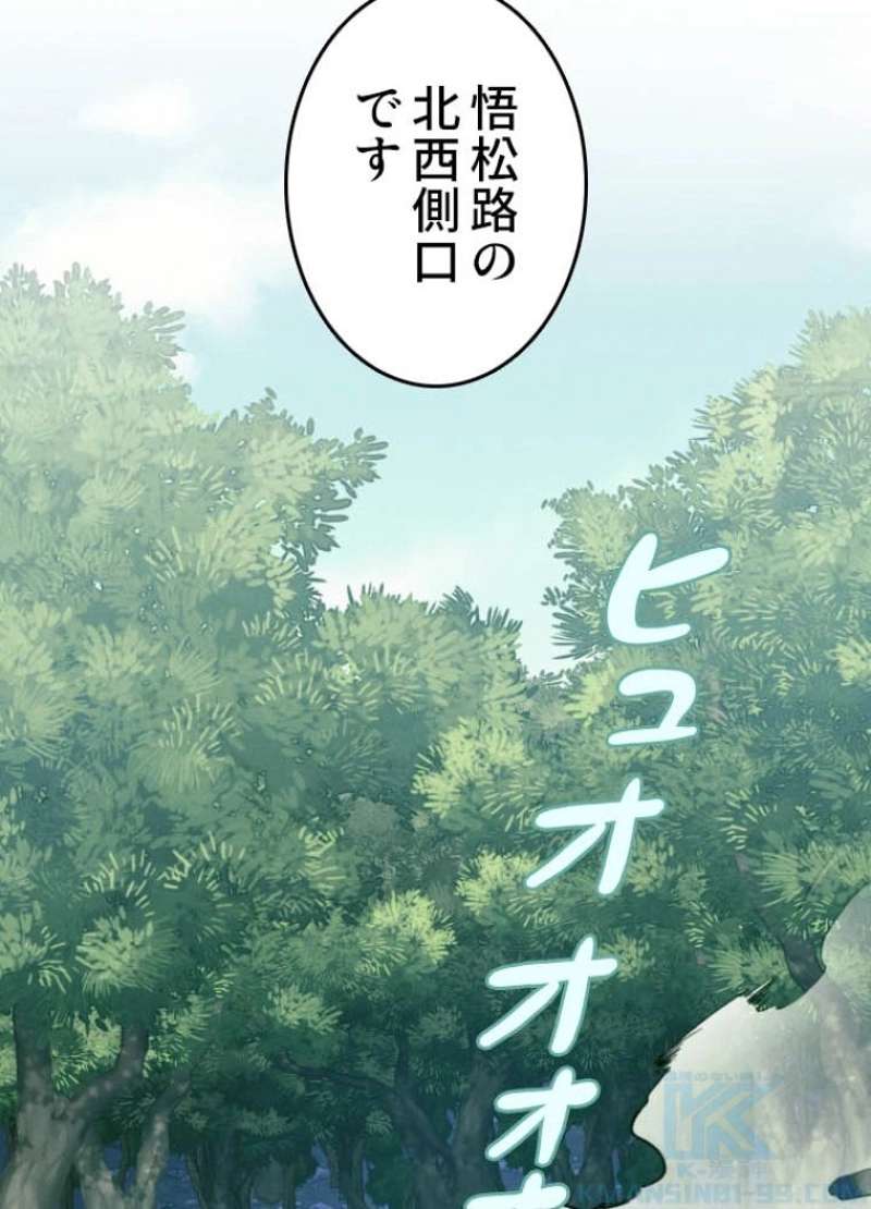 P53