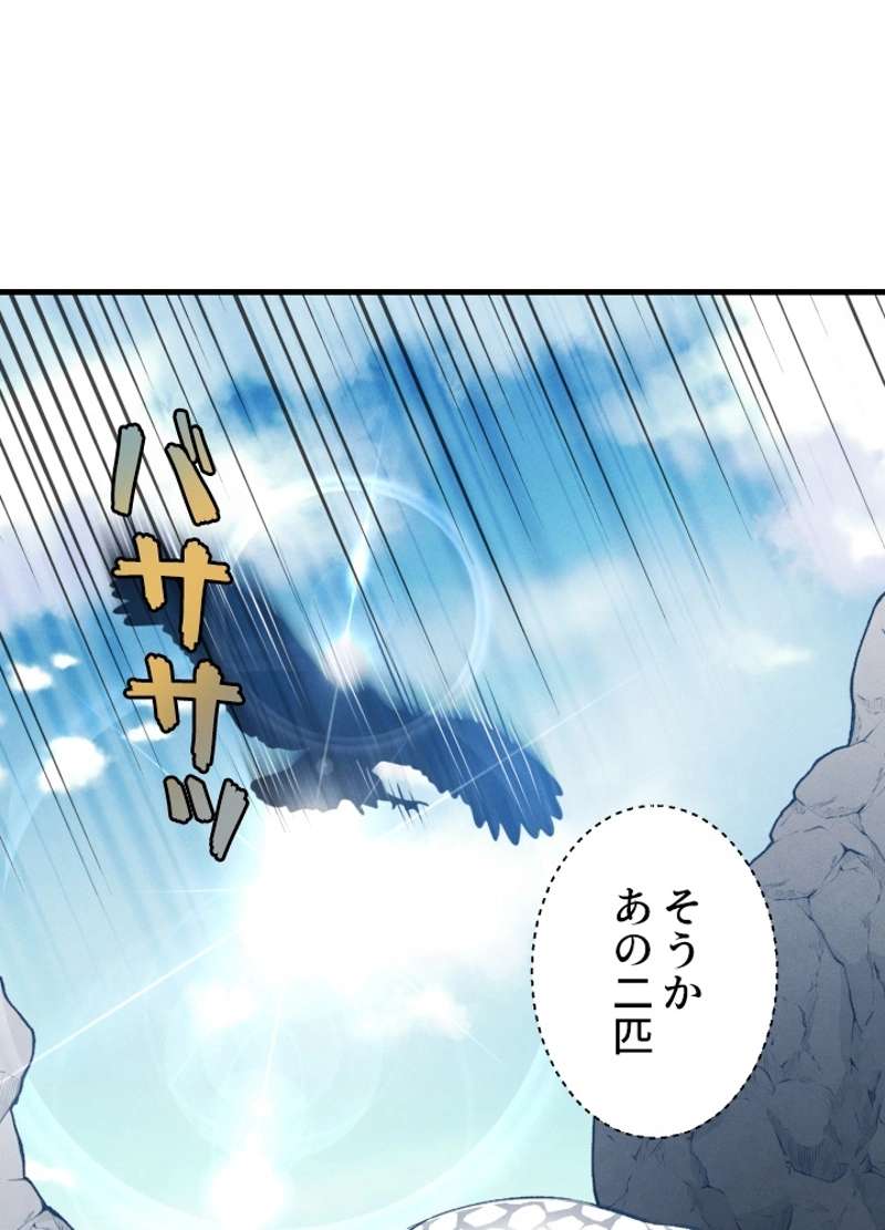P61