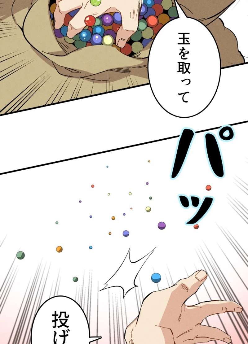 P66