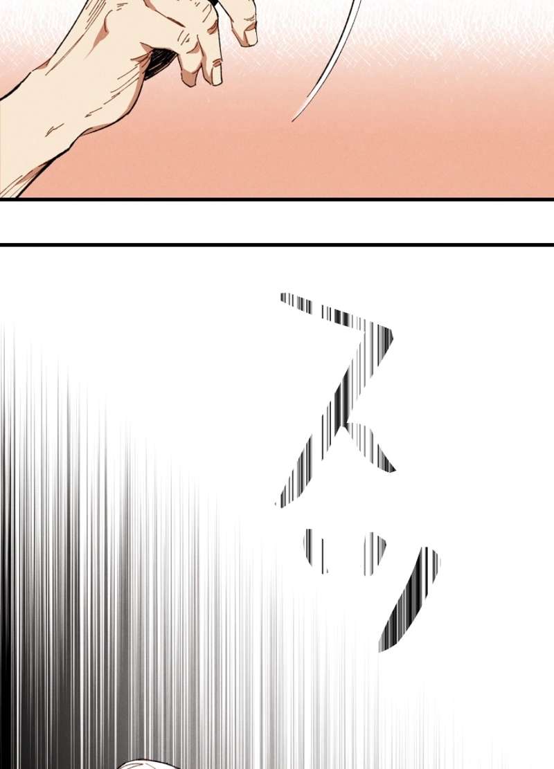 P66