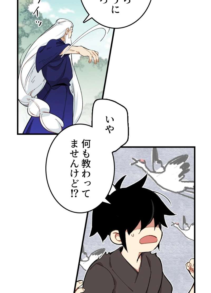 P61