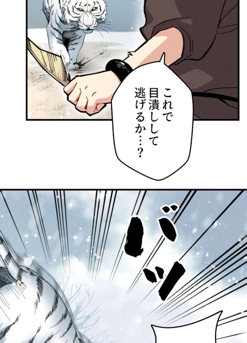 P58