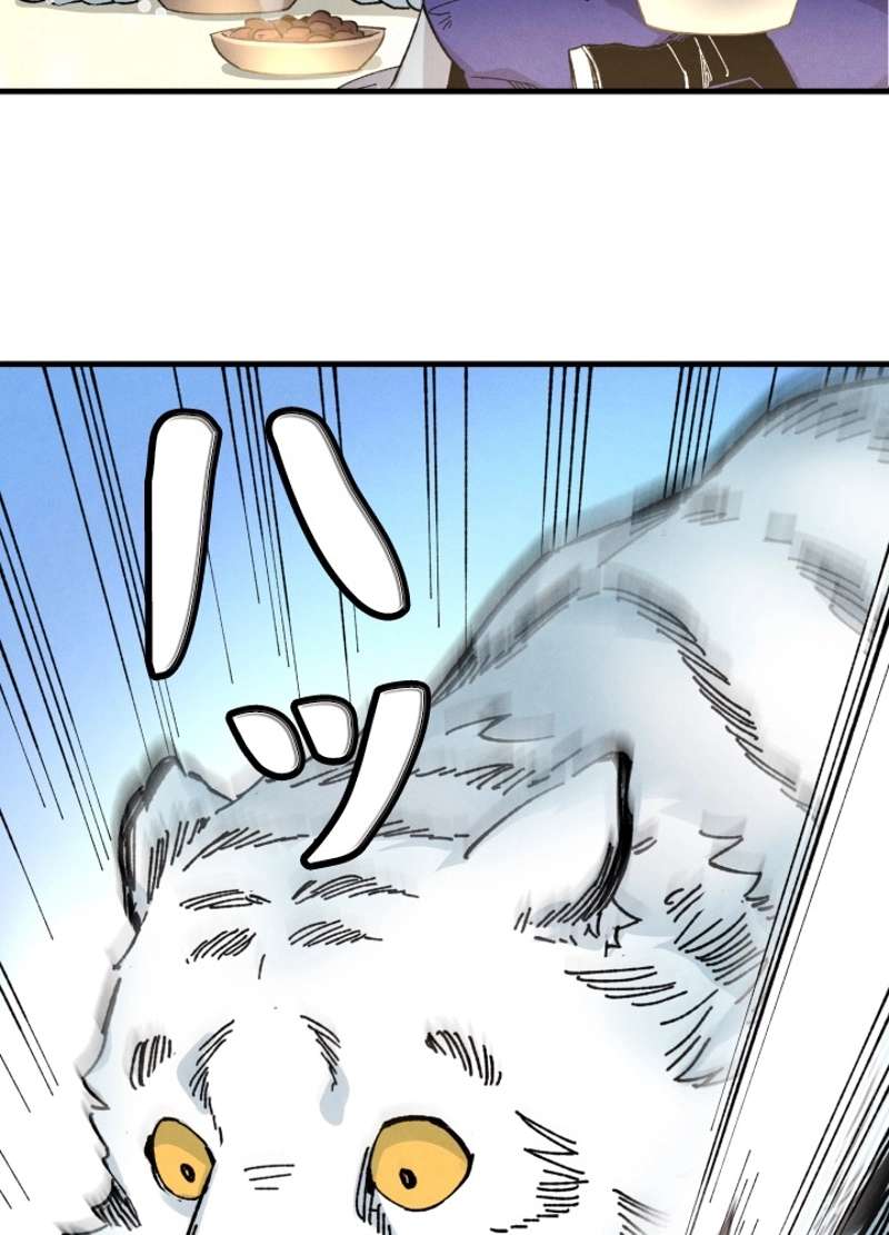 P73