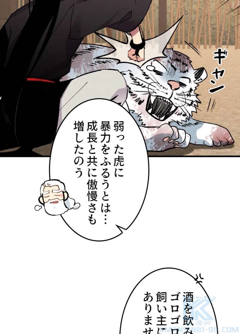 P53