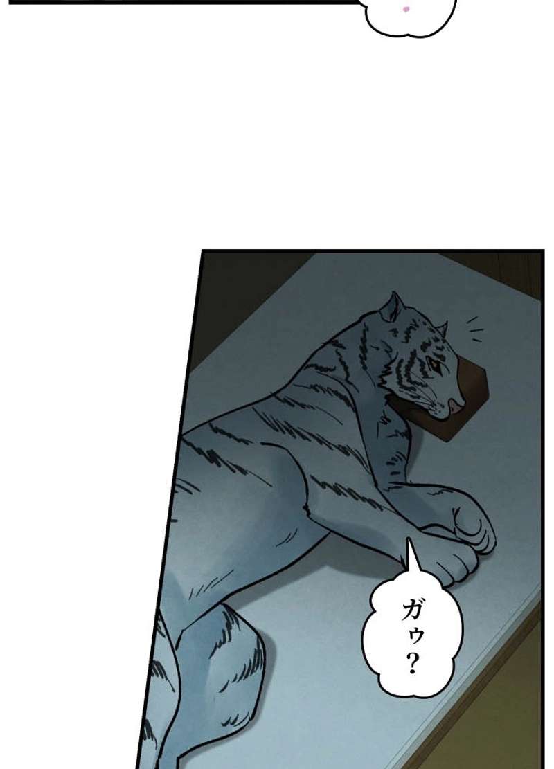 P61
