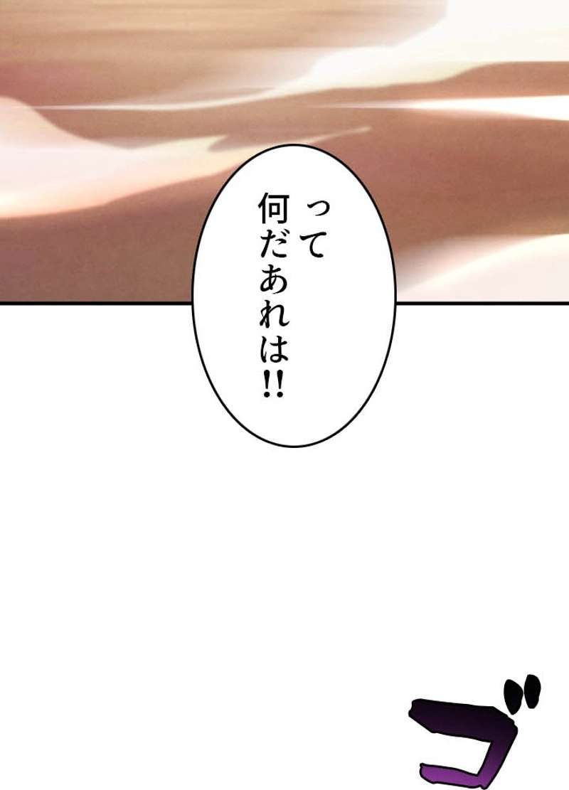P61