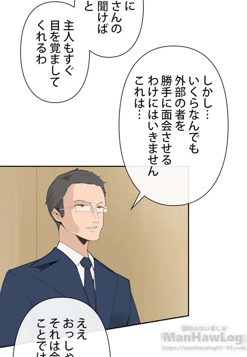 P53