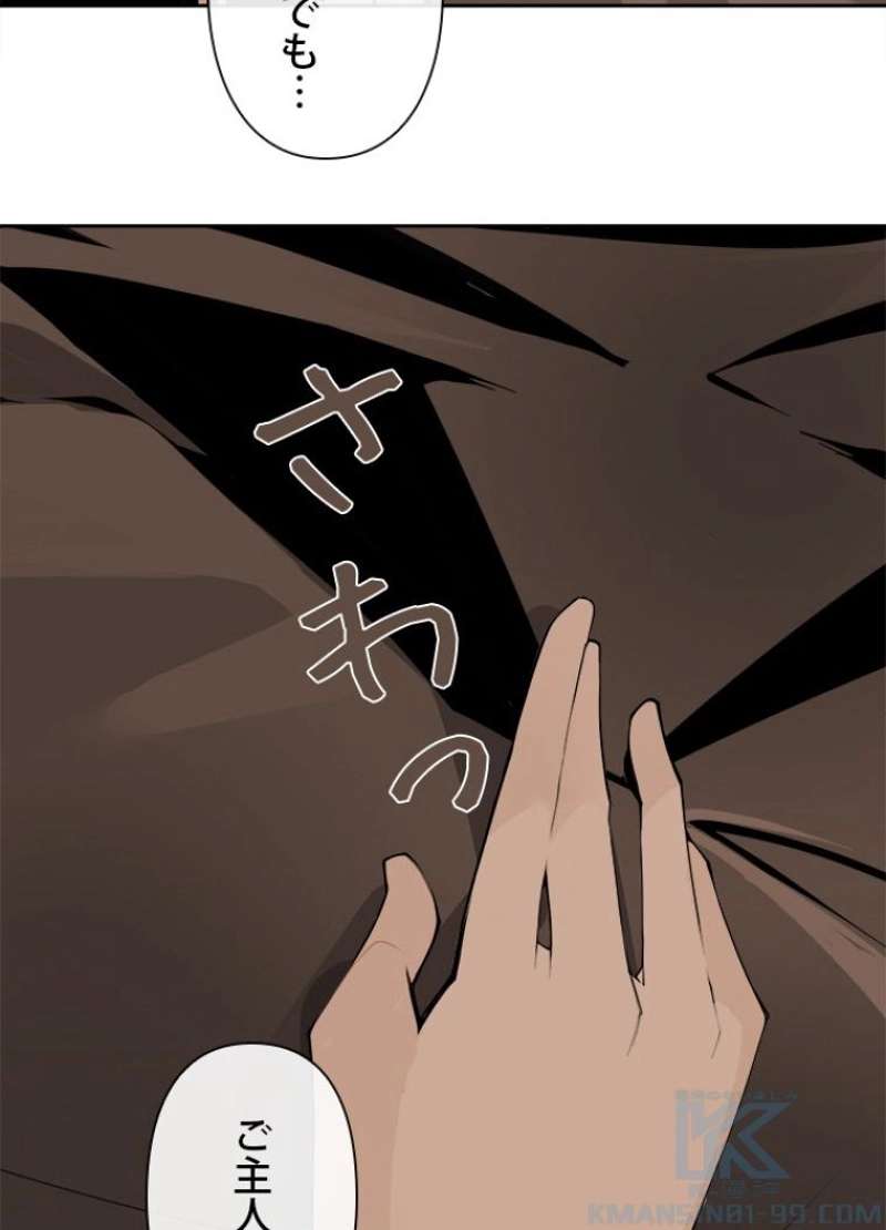 P44