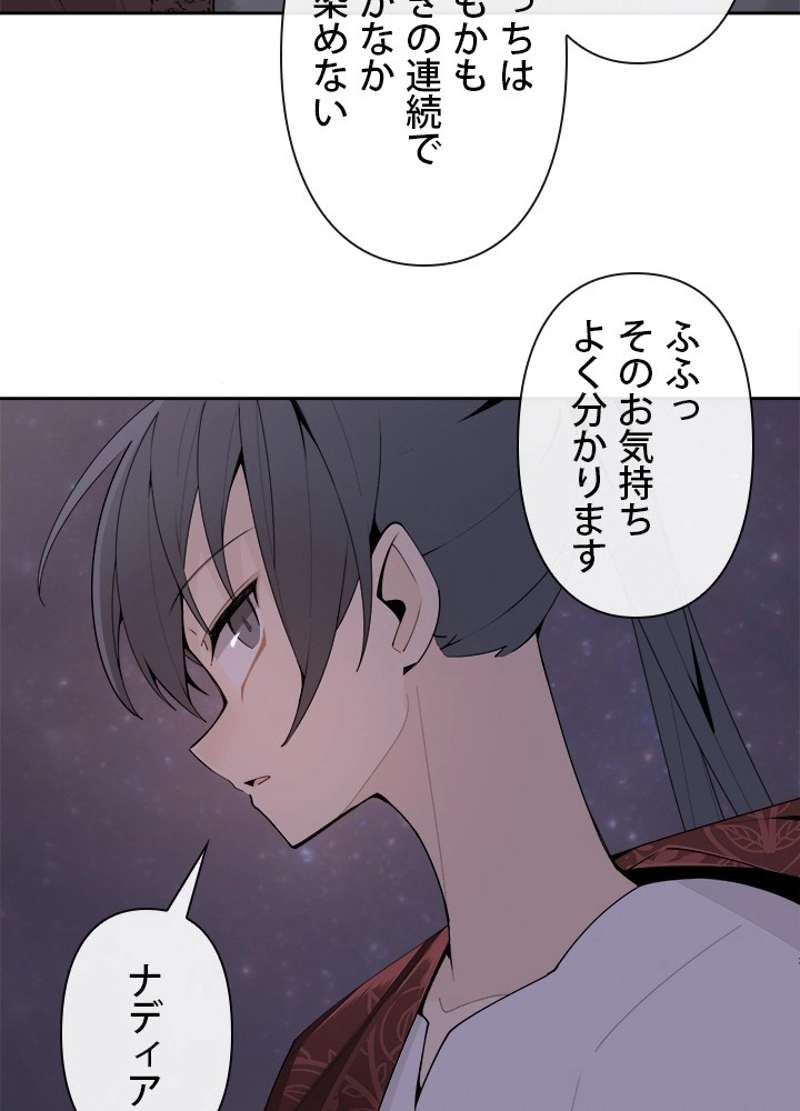P61