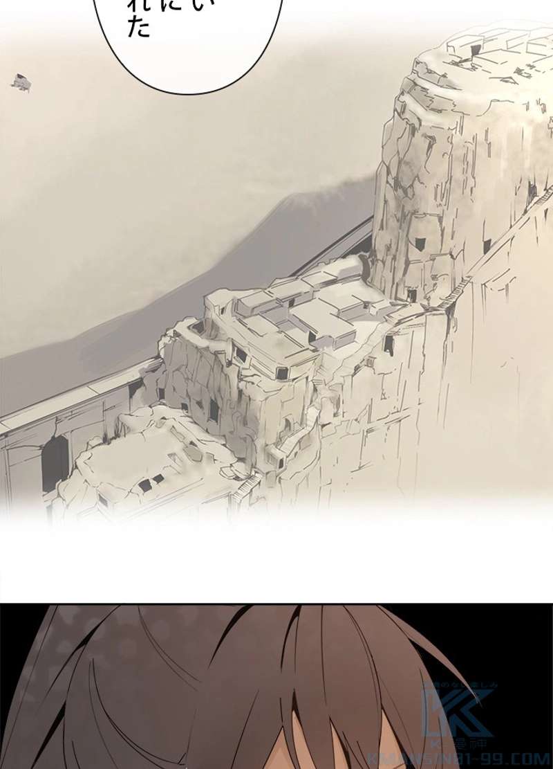 P53