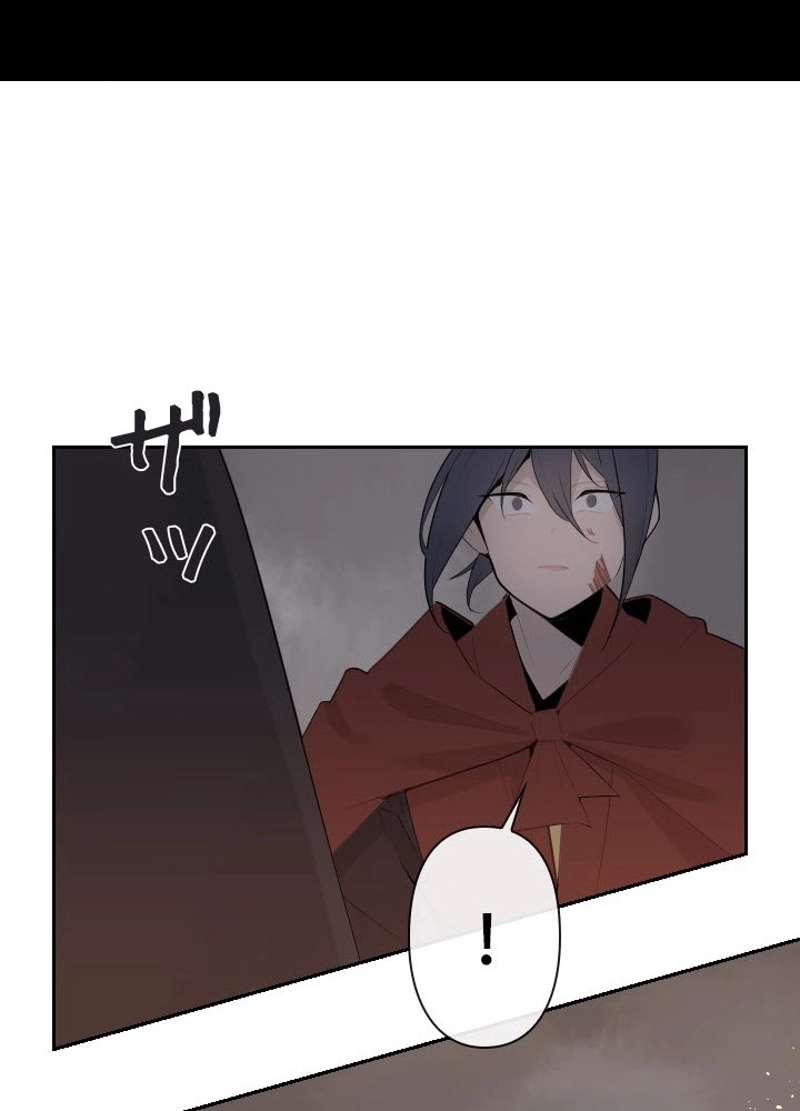 P61