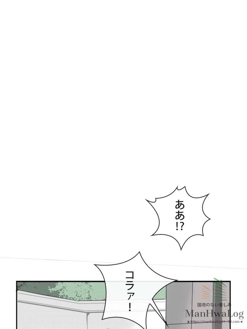 P53