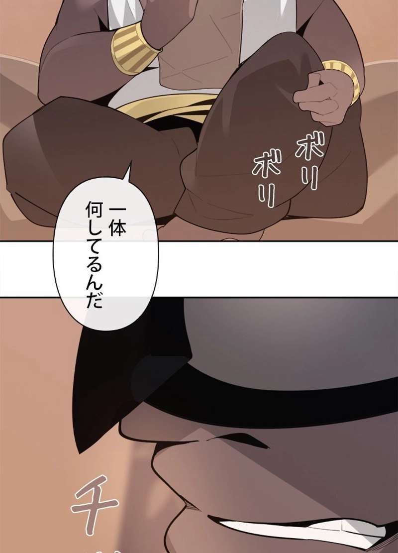 P61