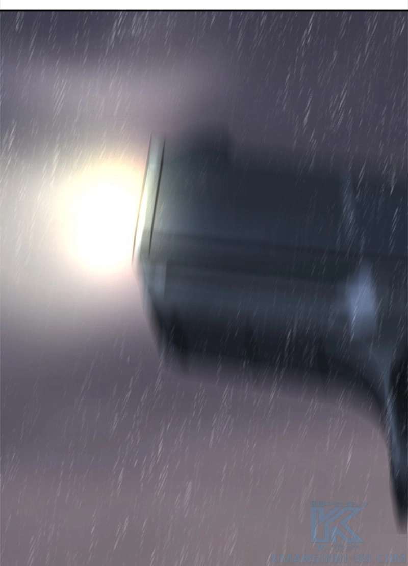 P53