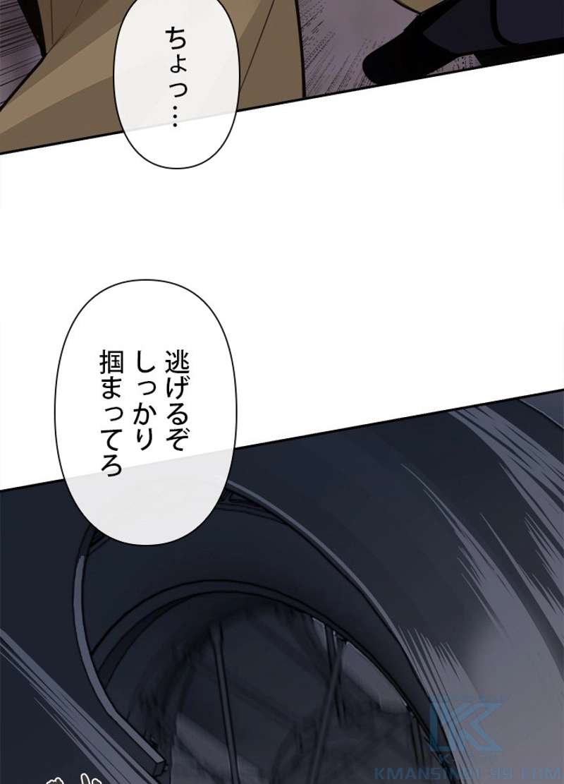 P53