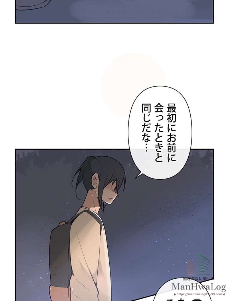 P63