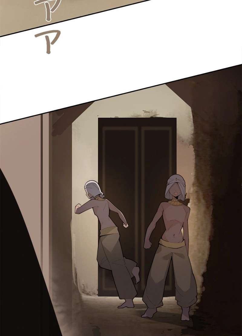 P61