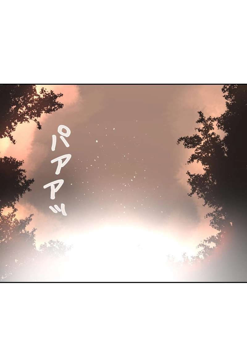 P48