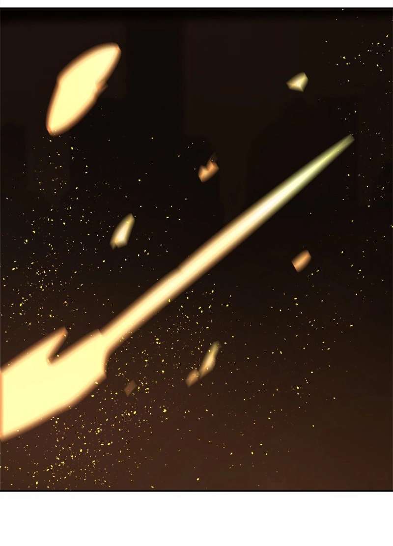 P66