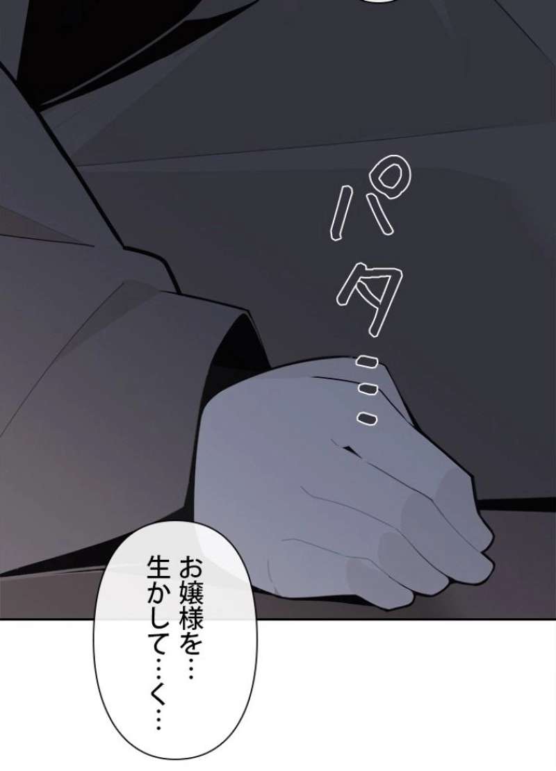 P61