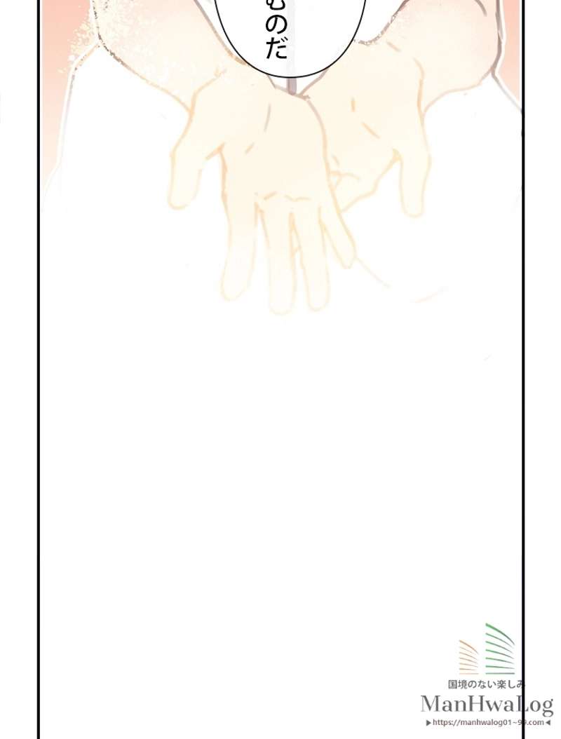 P24