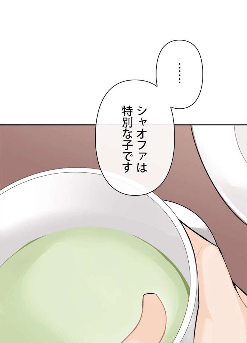 P61